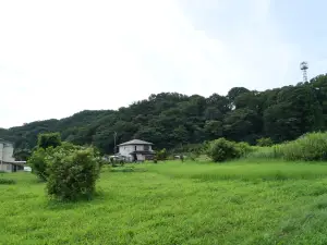 写真No.7