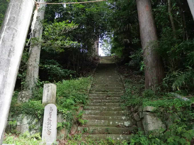写真No.4