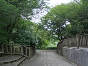 写真No.6