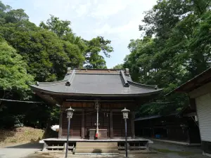 写真No.7