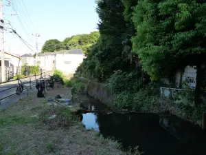 写真No.3