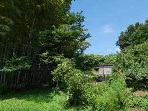 写真No.9