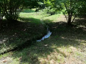 写真No.12