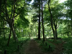 写真No.1