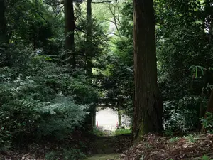 写真No.9