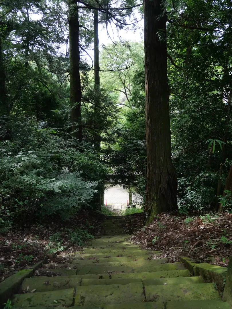 写真No.9