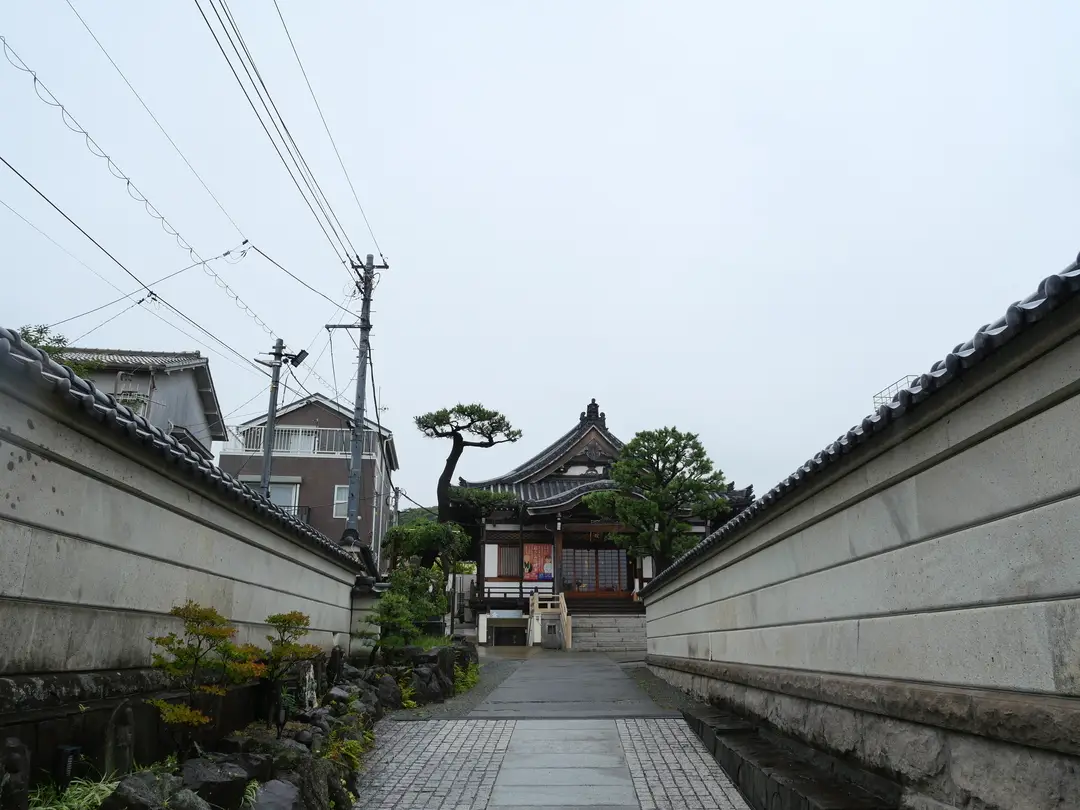 写真No.10