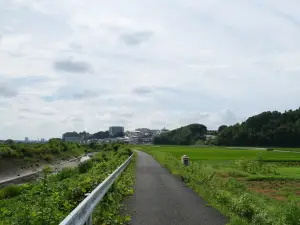 写真No.2