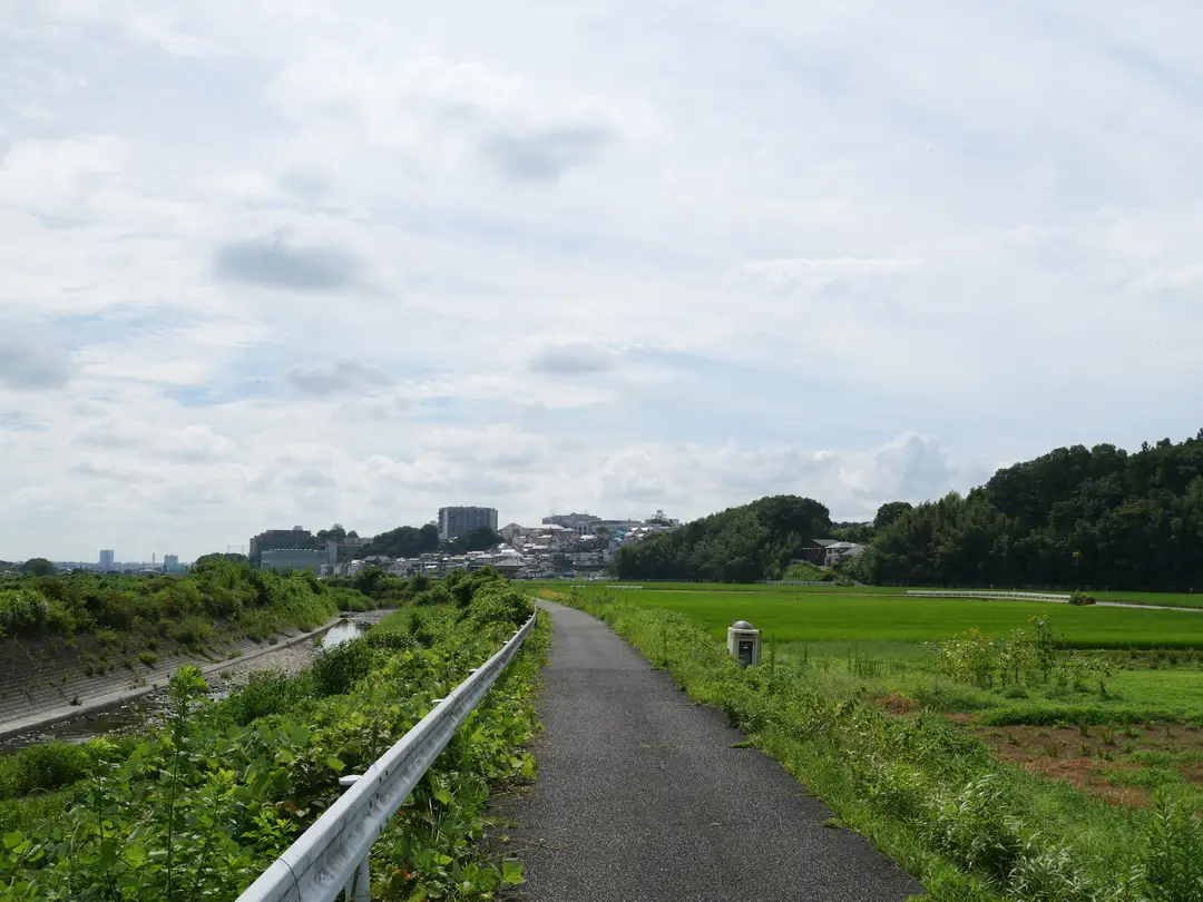 写真No.2