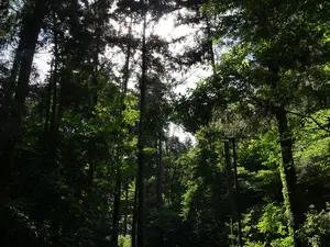 写真No.8