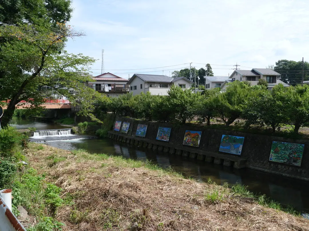 写真No.5