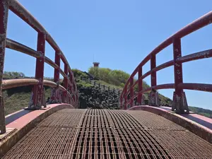 写真No.4