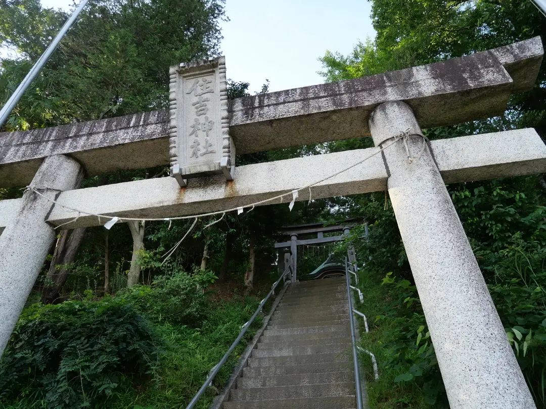 写真No.7