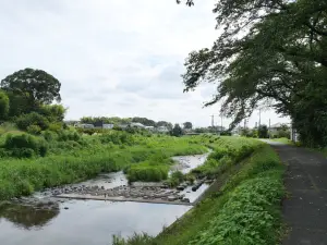 写真No.1