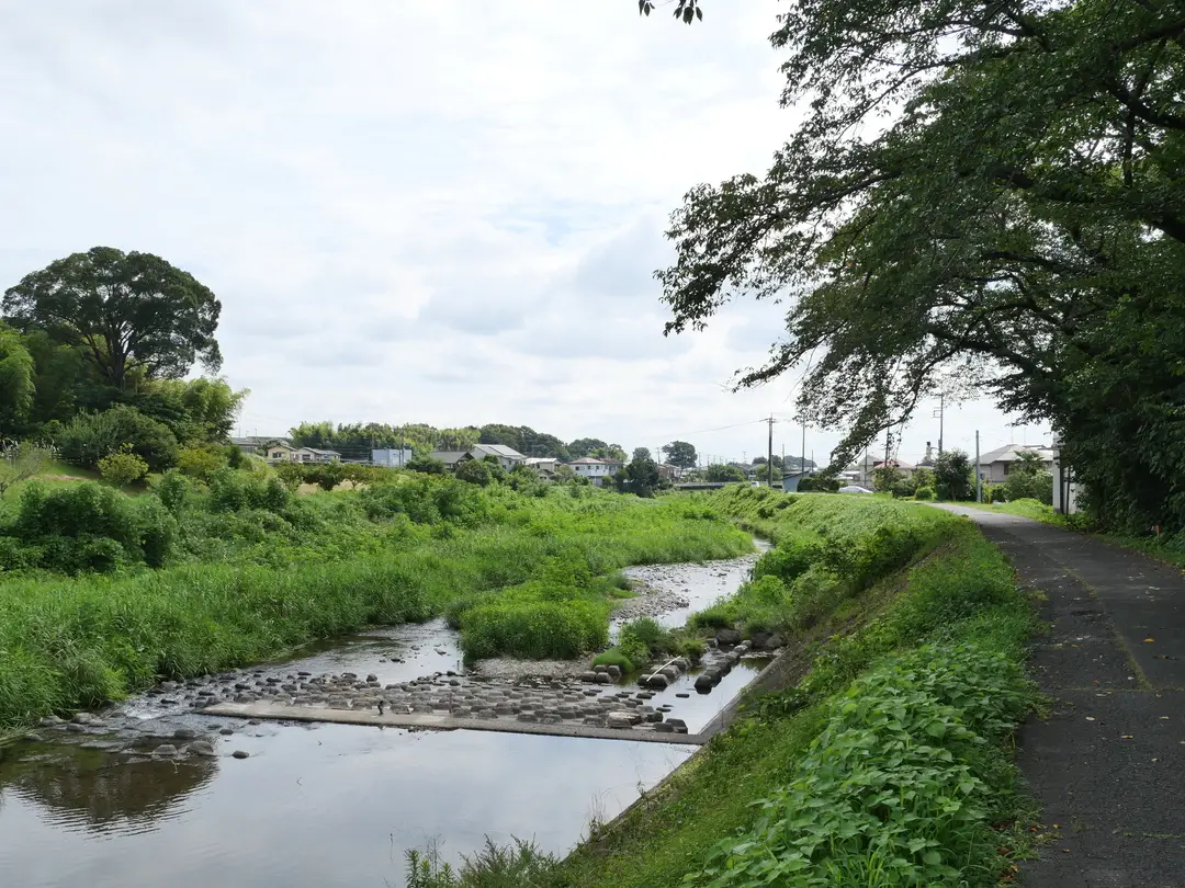 写真No.1