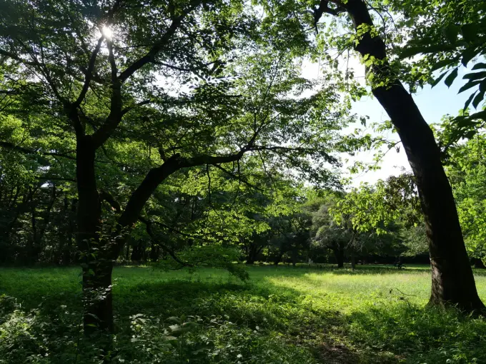 写真No.4