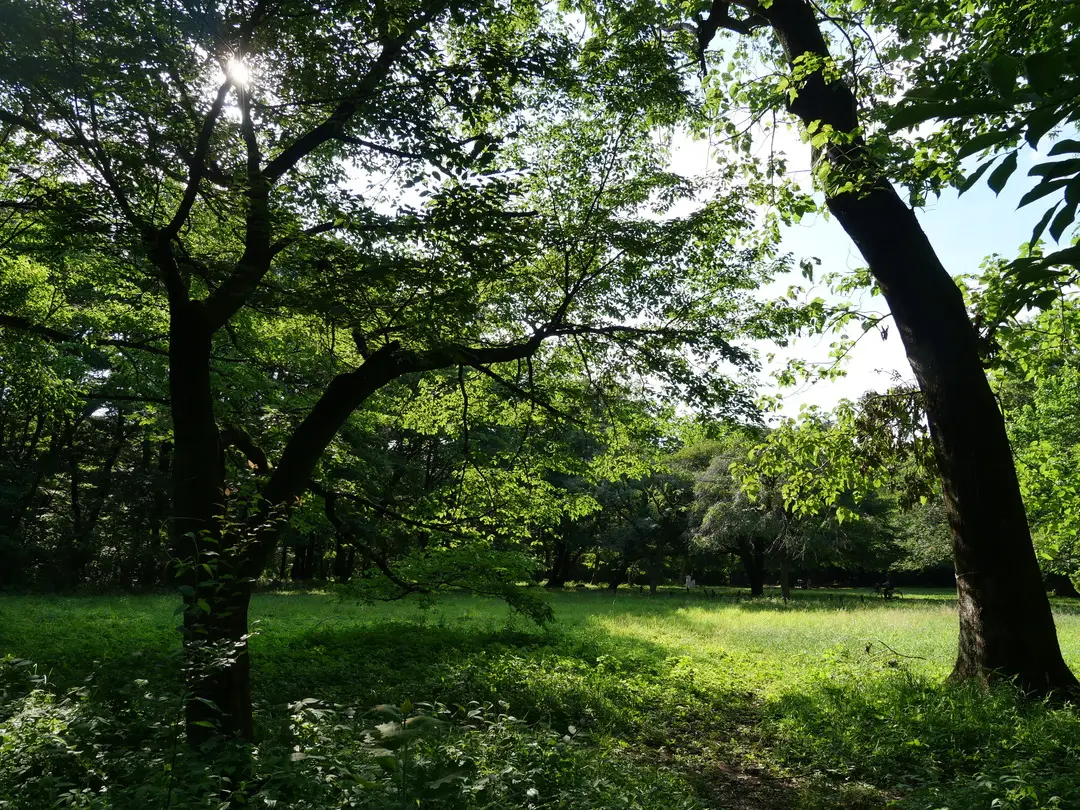 写真No.4