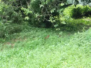 写真No.5