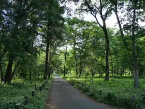 写真No.5