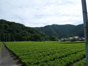 写真No.3