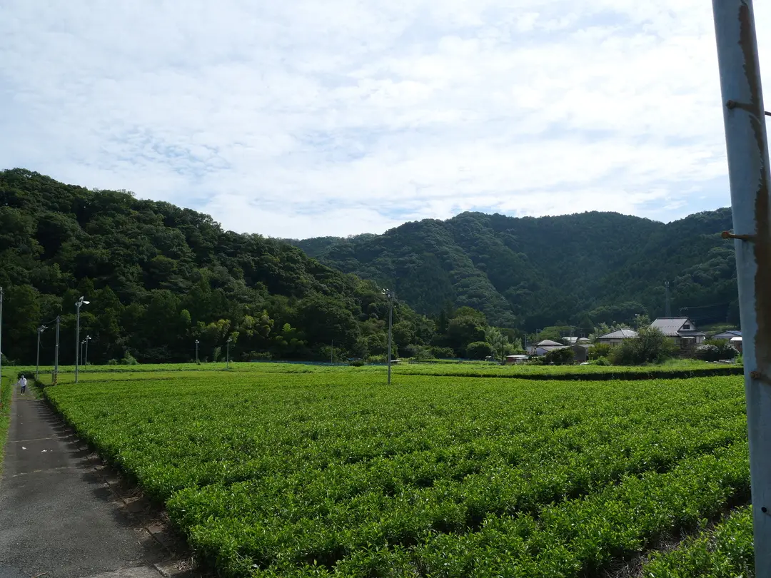 写真No.3