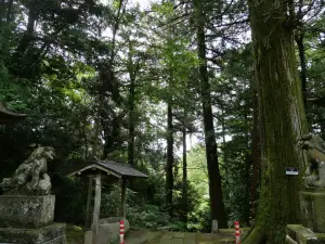 写真No.3