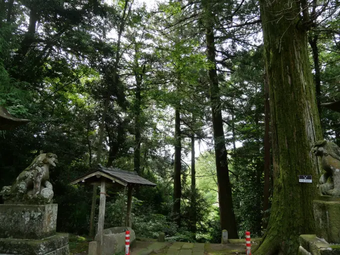 写真No.3