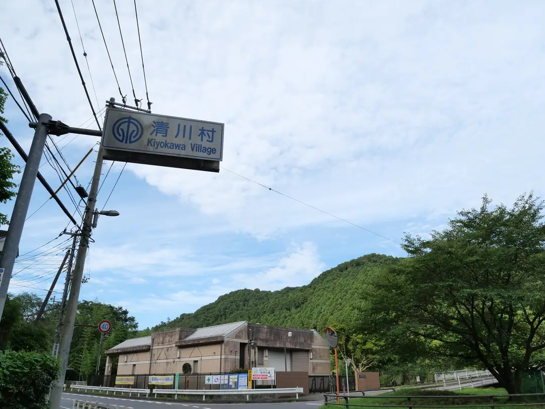 写真No.5