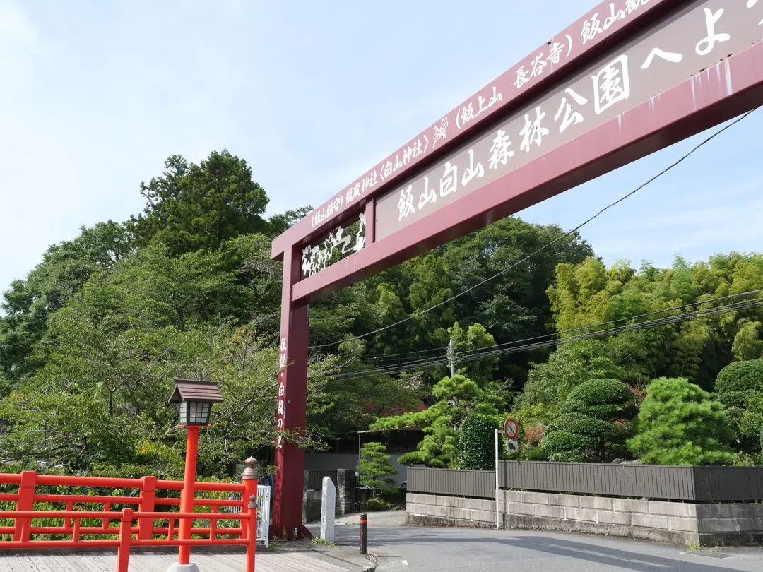 写真No.2