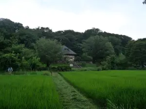 写真No.9