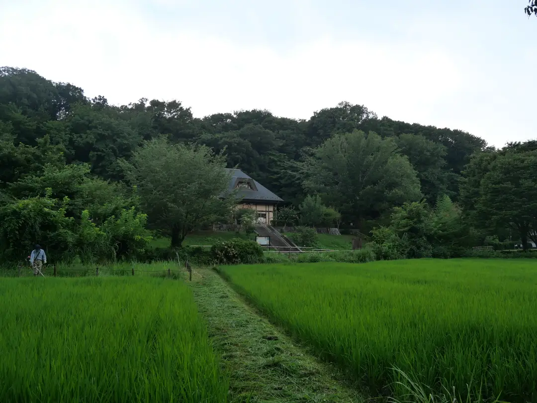 写真No.9