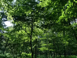 写真No.10