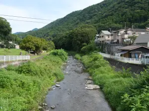 写真No.2