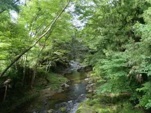 写真No.2