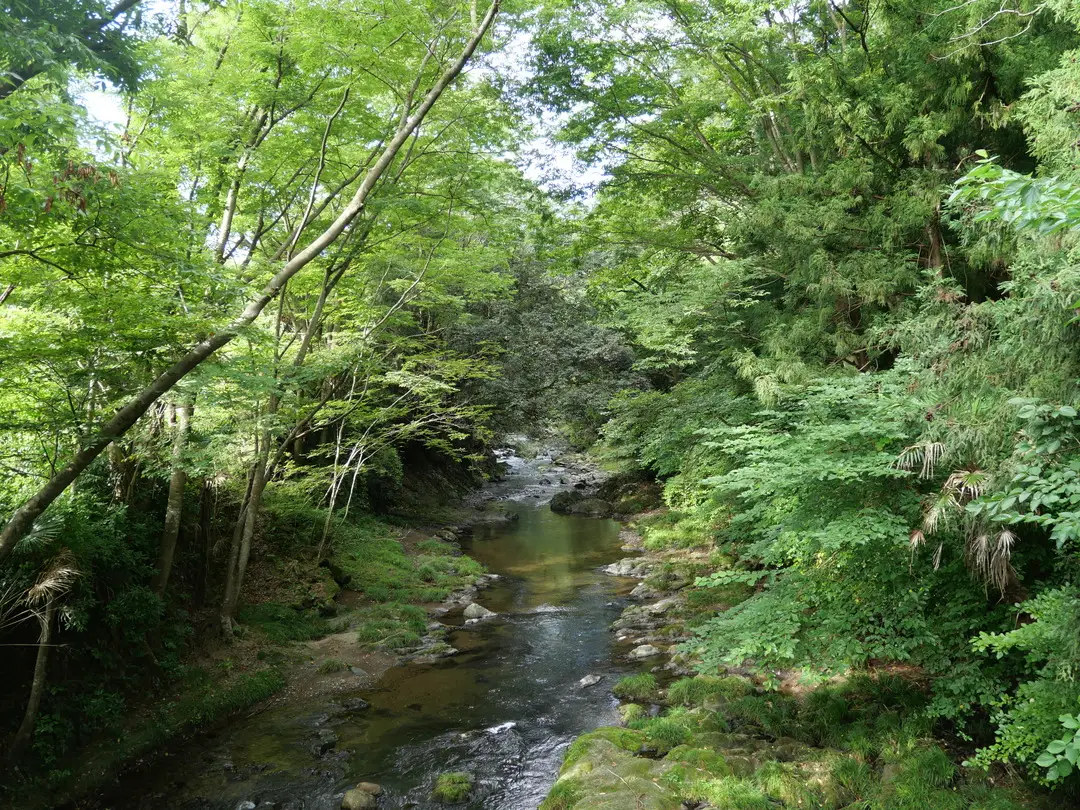 写真No.2