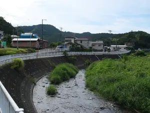 写真No.10