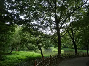 写真No.7