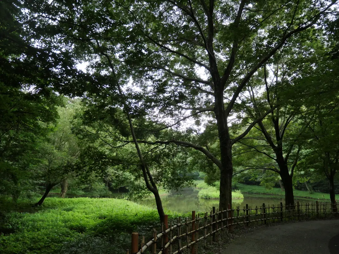 写真No.7