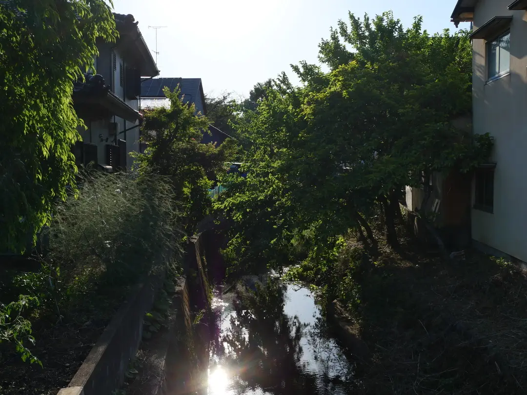 写真No.5
