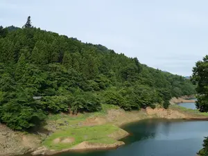 写真No.3