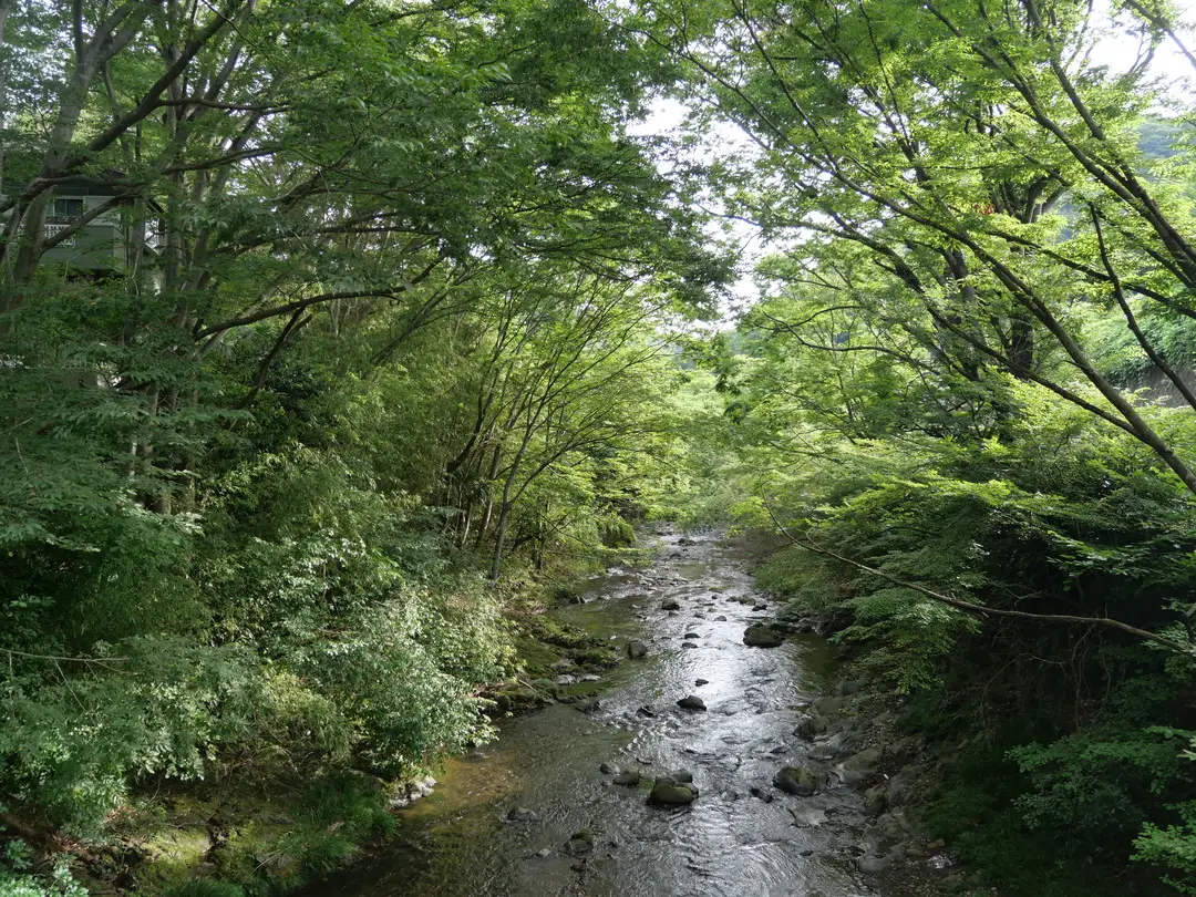 写真No.1