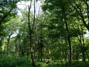 写真No.9