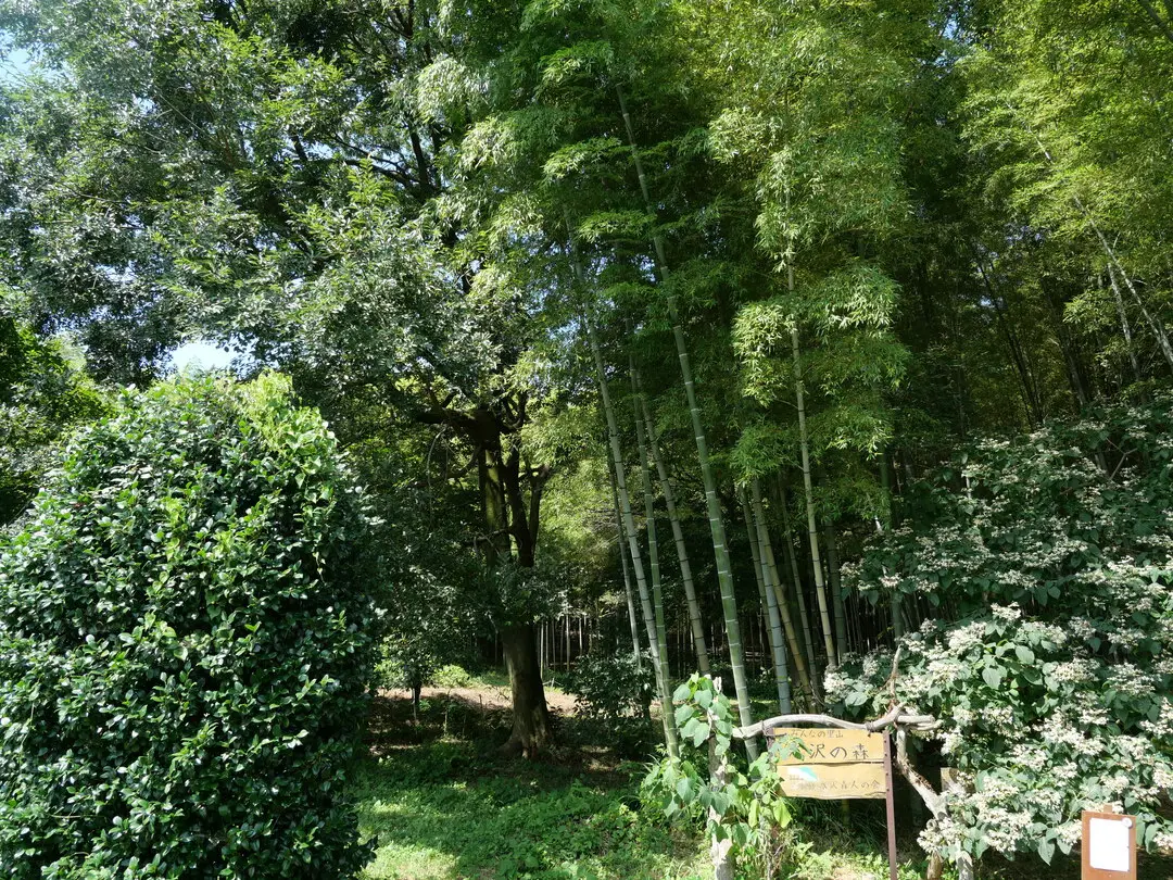 写真No.8
