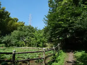 写真No.13