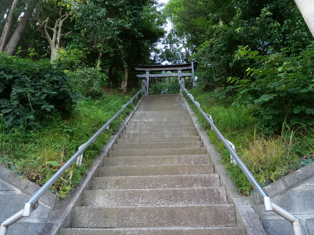 写真No.5