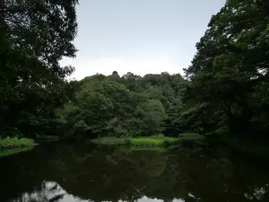 写真No.3