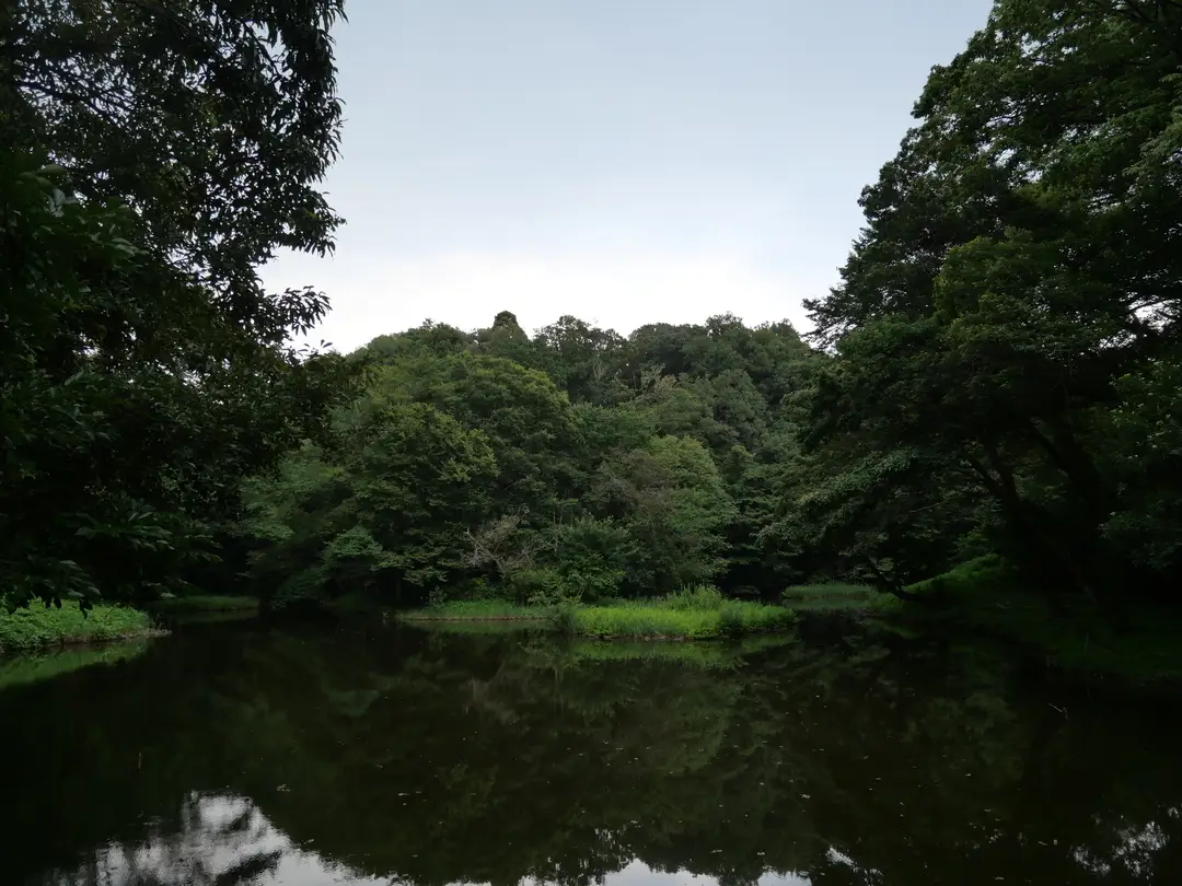 写真No.3
