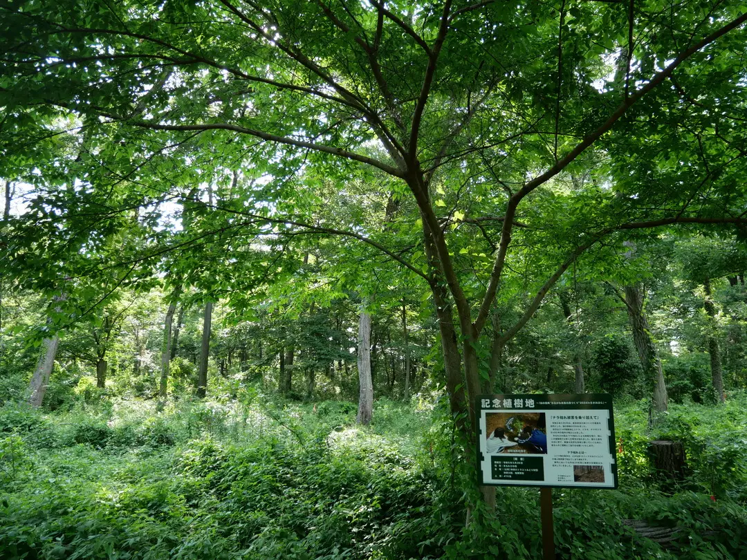 写真No.7