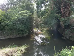 写真No.4
