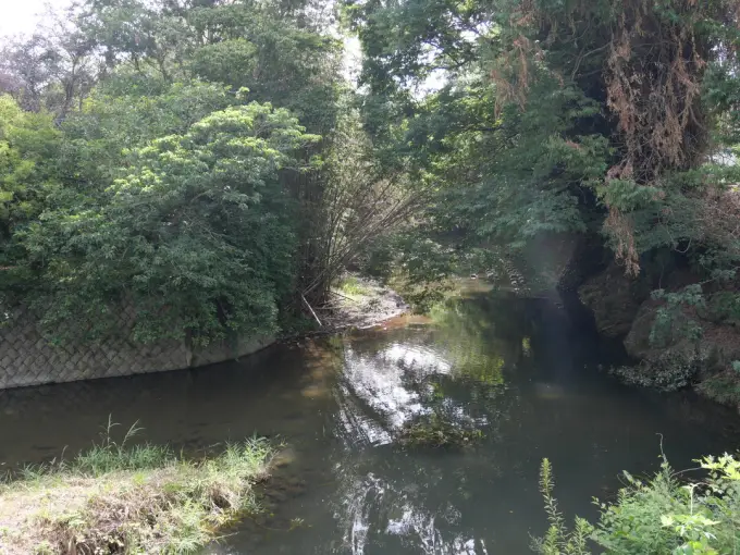 写真No.4